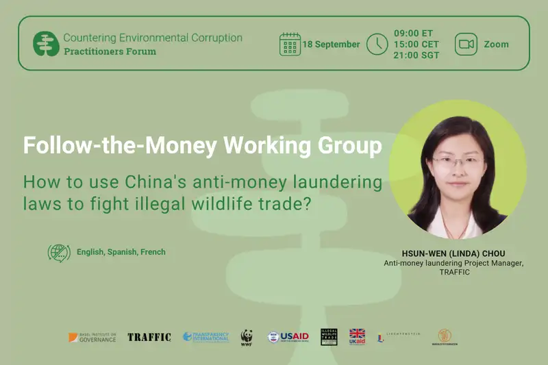 How to use China's anti-money laundering laws to fight the illegal wildlife trade?