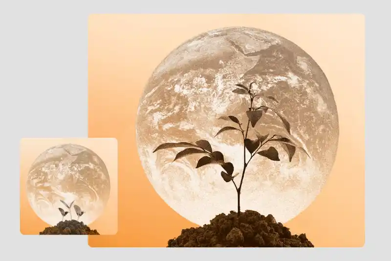 From seedlings to saplings of hope: updated report on promising efforts to address environmental corruption