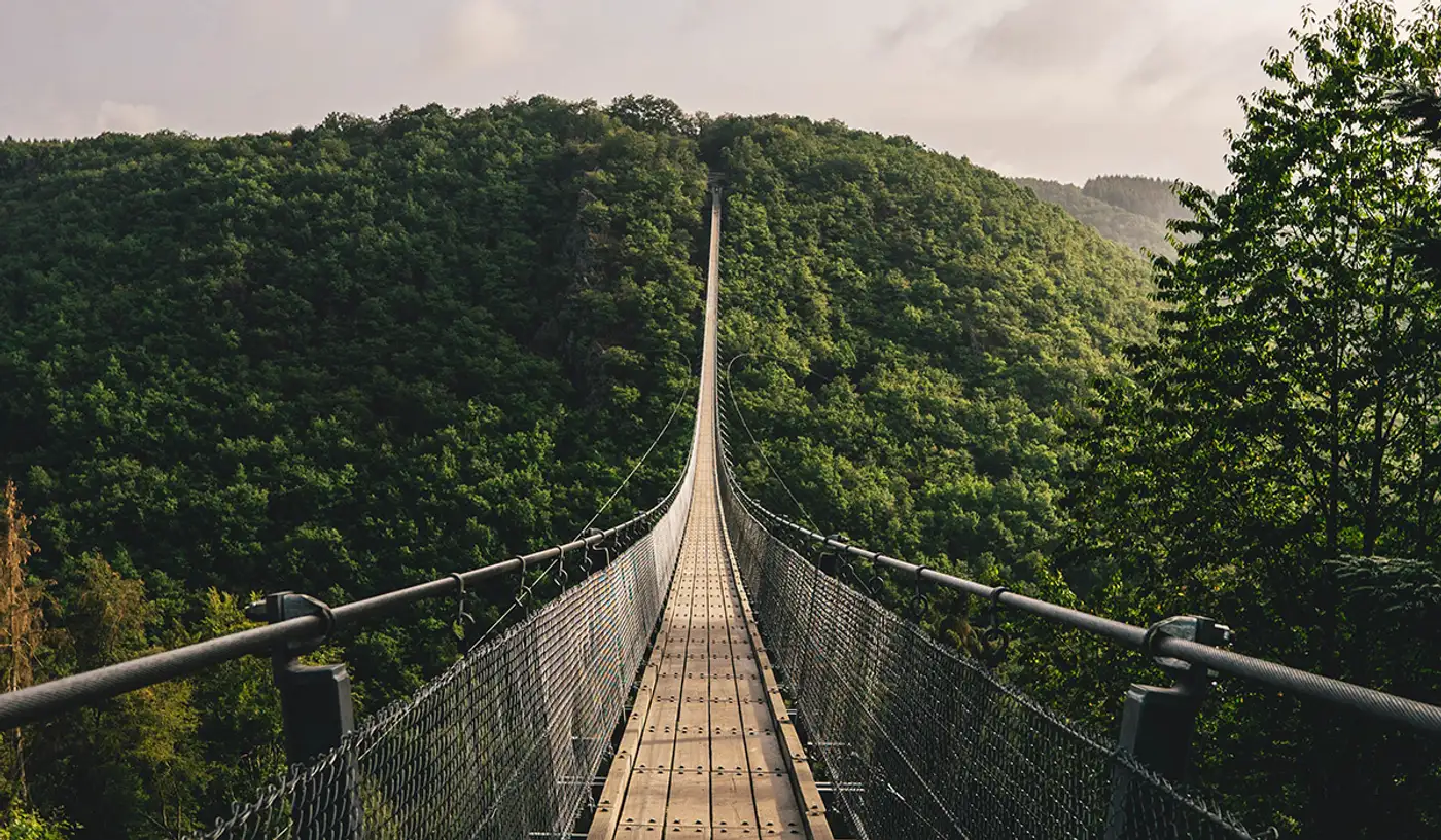 Liechtenstein provides vital core funding to our Green Corruption programme for a second year