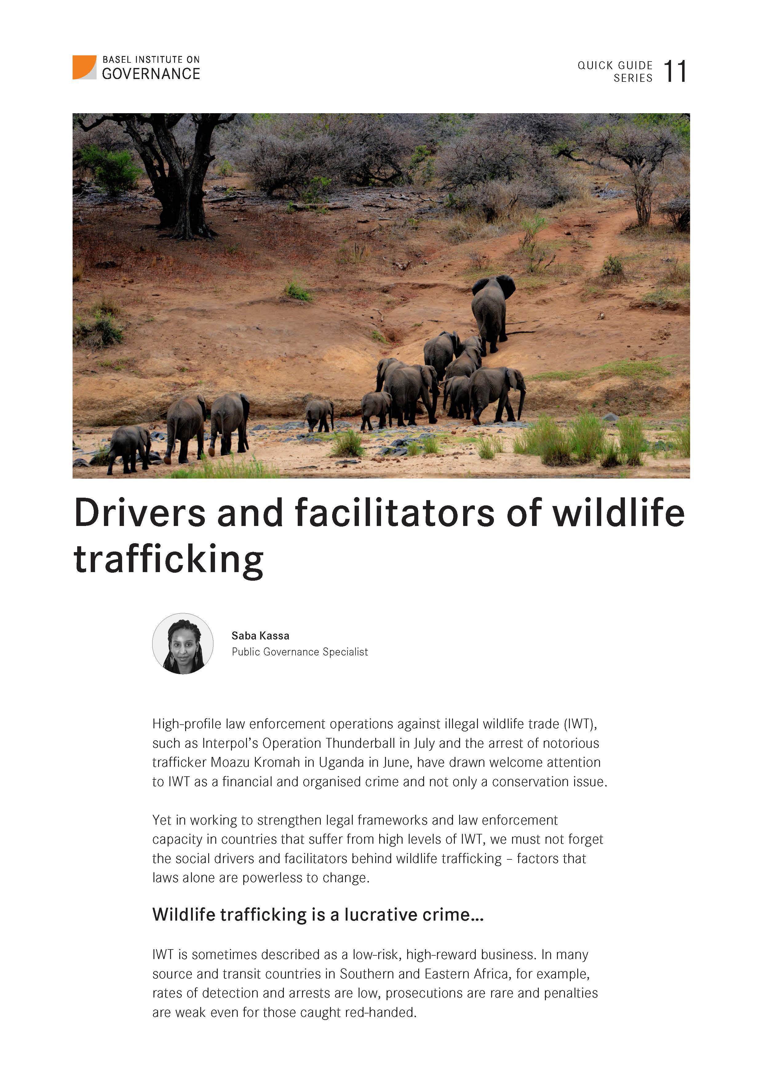 Quick Guide 11: Drivers and facilitators of wildlife trafficking cover