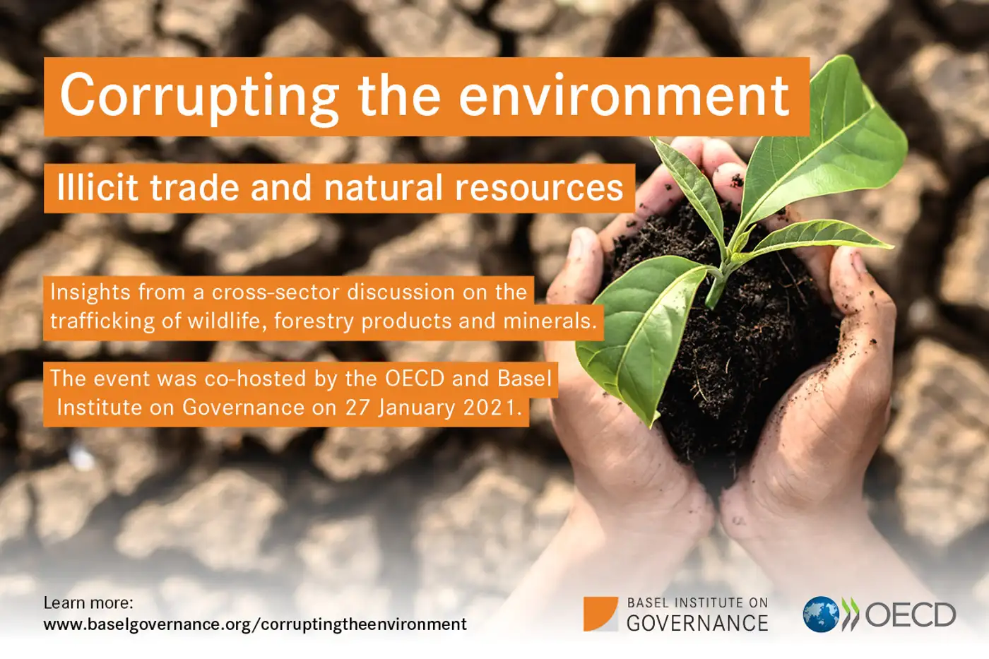 Combating the illicit trade in natural resources together