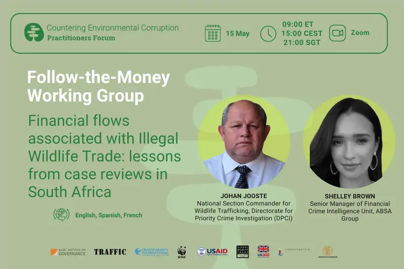 Financial flows associated with illegal wildlife trade: lessons from case reviews in South Africa