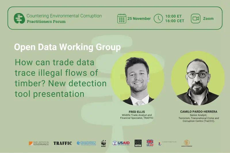 How can trade data trace illegal flows of timber?