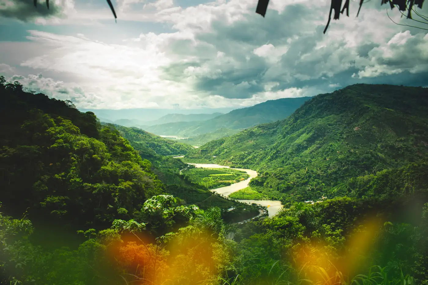Green Corruption: Two new UK-funded projects to take the profit out of environmental crime
