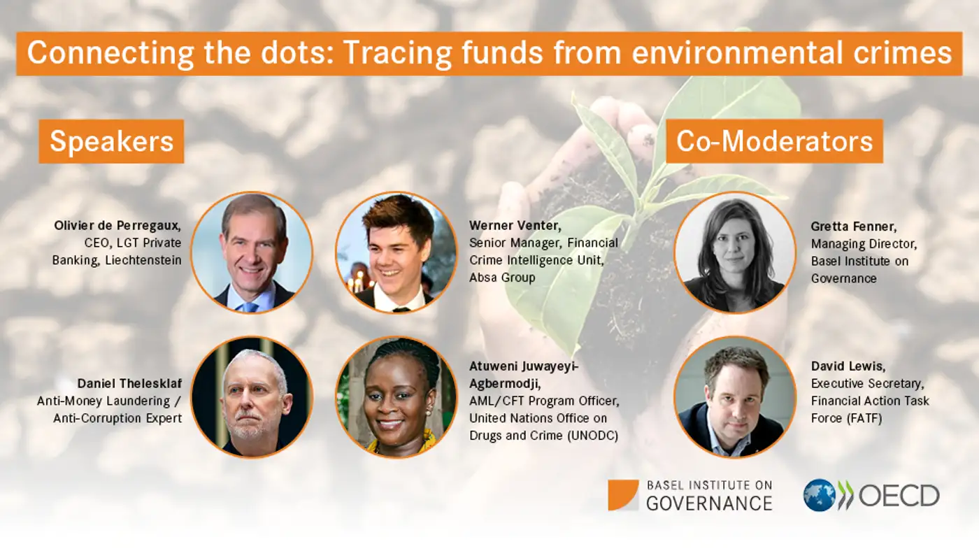 Three things countries and companies must do to address illegal financial flows from environmental crimes
