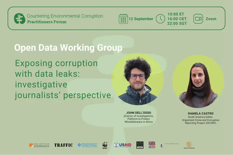 Exposing corruption with data leaks: the investigative journalists' experience